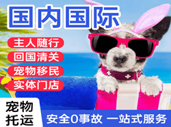 萧山国际宠物托运 【国